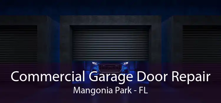 Commercial Garage Door Repair Mangonia Park - FL