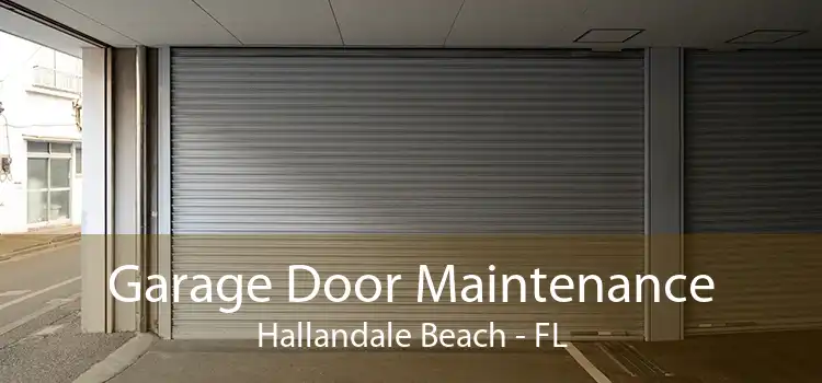 Garage Door Maintenance Hallandale Beach - FL