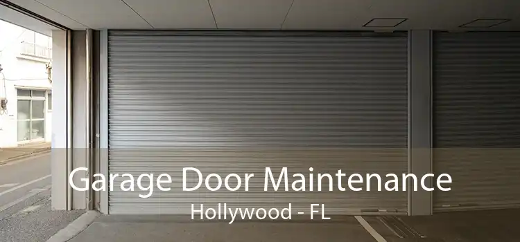 Garage Door Maintenance Hollywood - FL