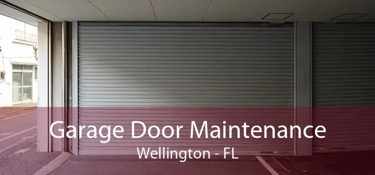 Garage Door Maintenance Wellington - FL