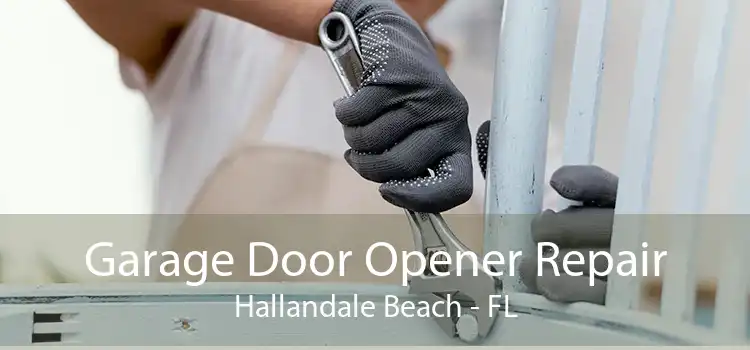 Garage Door Opener Repair Hallandale Beach - FL