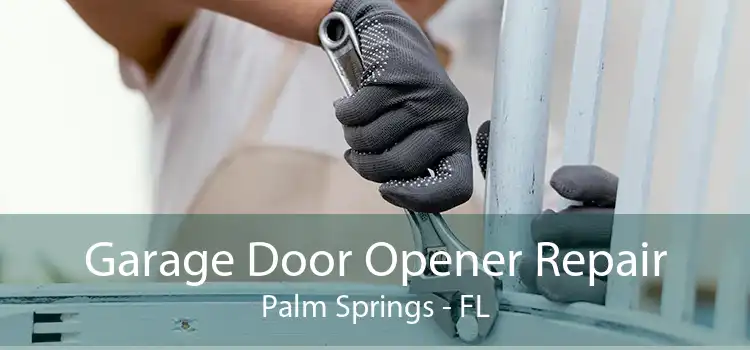 Garage Door Opener Repair Palm Springs - FL