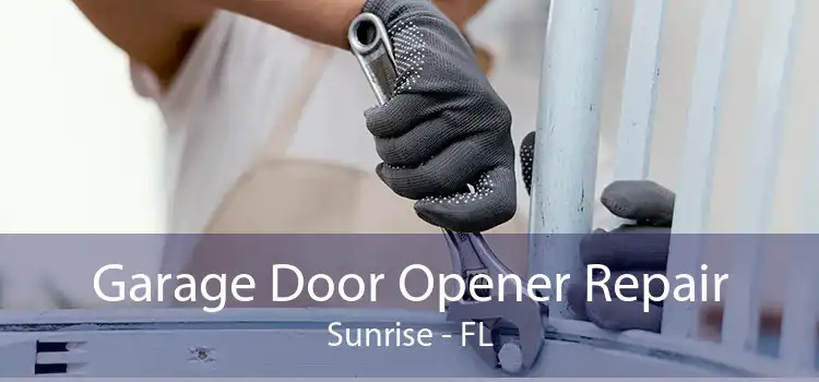 Garage Door Opener Repair Sunrise - FL