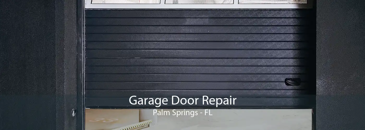 Garage Door Repair Palm Springs - FL