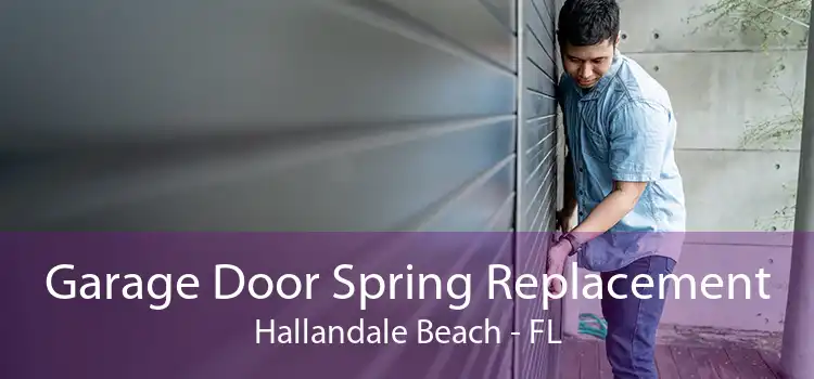 Garage Door Spring Replacement Hallandale Beach - FL