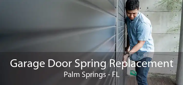 Garage Door Spring Replacement Palm Springs - FL